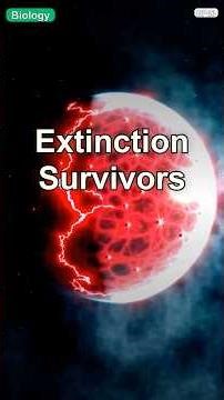 Extinction Survivors #funfacts