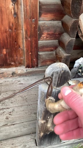 Тарас Петрів на TikTok