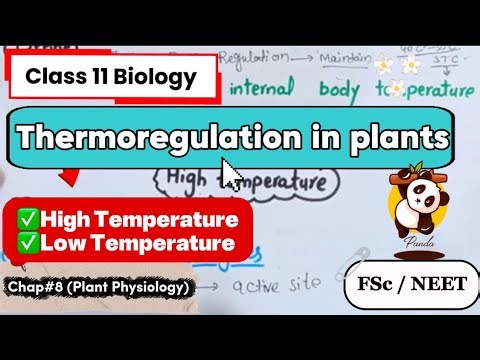 Thermoregulation in Plants | Class 11 Biology | FSc Part 1 | NEET 2026 | One Shot 
