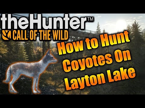 How To Hunt Coyotes in The Hunter Call of The Wild