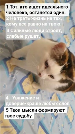 Мудрые слова #aesthetic #music #newmusic #words