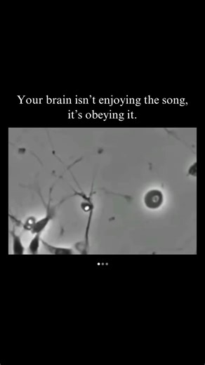 613K views · 9.1K reactions | Most people think they choose which...