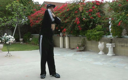 OG舞者WaveOMatic教你学Wave：环绕背部的Trace运用