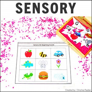 Sensory Bin Activities
