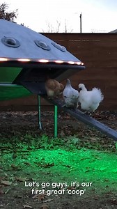 60K views · 1.3K reactions | We want to believe!  (Via - Brett W.) #WorldUFODay | The Pet Collective | Facebook