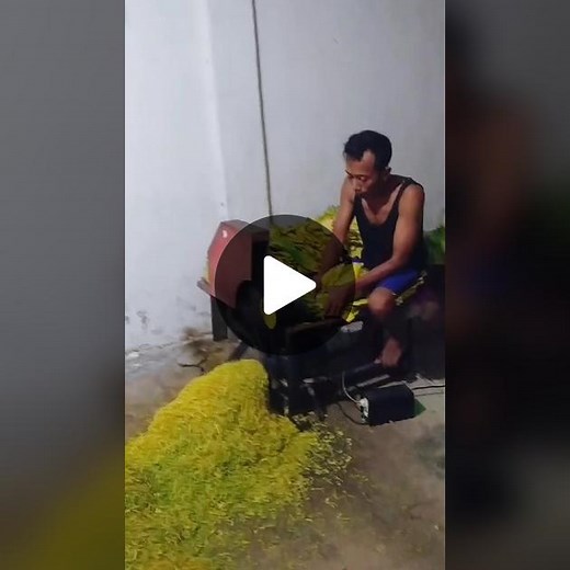 Vegetable Processing Machine in Action