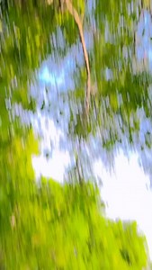 Suratiya❤️ | Simran Arya