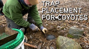 Learn how to find the best possible locations to set your traps. James Lord has been trapping for over 30 years and today he shares some advice on where to place your sets to help you catch more coyotes. #whitetailproperties | Whitetail Properties