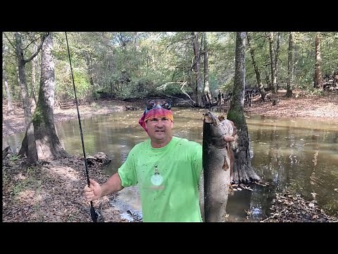 How to catch, clean, and cook Bowfin the right way