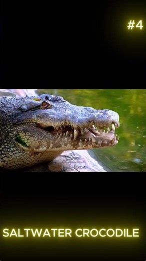 10 Scariest Creatures Ever Discovered