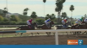 New season of horse racing at Turf Paradise in Phoenix