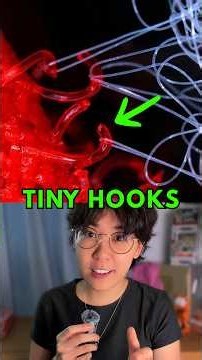 The Plant That Became A Useful Invention