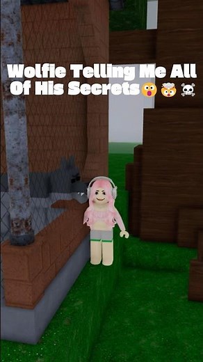 wolf trolling me😱