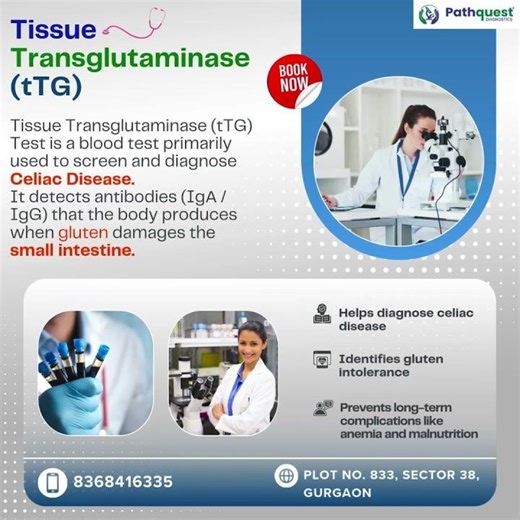Tissue Transglutaminase (tTG) Test | Celiac Disease & Gluten Intolerance Test |Pathquest Diagnostics