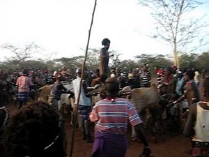 Hamer Tribe Bull Jumping Ceremony