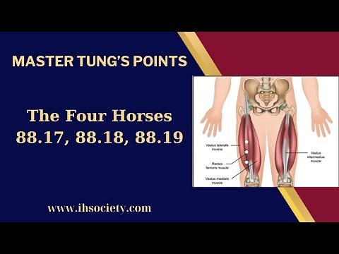 Master Tung's Acupuncture Points - Four Horses, 88.17, 88.18, 88.19