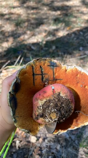 18 reactions | Most people think I’m a dude  But hi! it’s me, the...