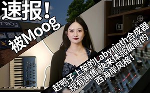 速报！被moog赶鸭子上架的Labyrinth合成器现有售快来体验最新的西海岸风格