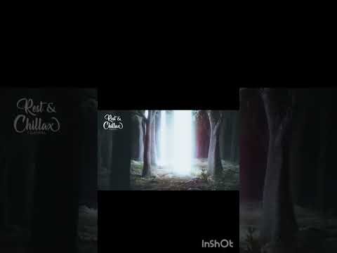 Walking Through the Dark Forest🫶 Ambient Soundscape – Nocturne Forge