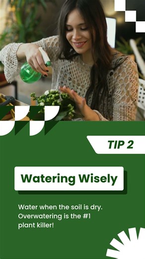 How to Keep Indoor Plants Alive 🌿 | Plant Care Tips for Beginners #Shorts