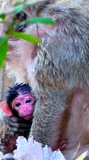 A precious moment for a mother to have a beloved child.