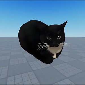 Maxwell The Cat - Sound Bean: Song Lyrics, Music Videos & Concerts