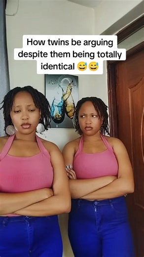 Sibling Arguments Between Identical Twins