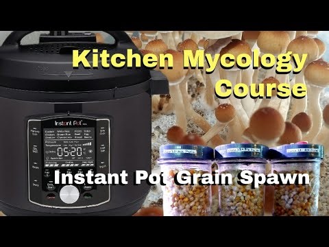 How to make Popcorn Grain Spawn Jars in an Instant Pot Pressure Cooker - NEW VERSION