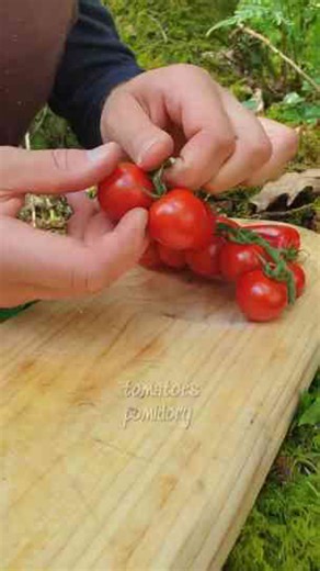 Cod fillet wrapped in Parma Ham.