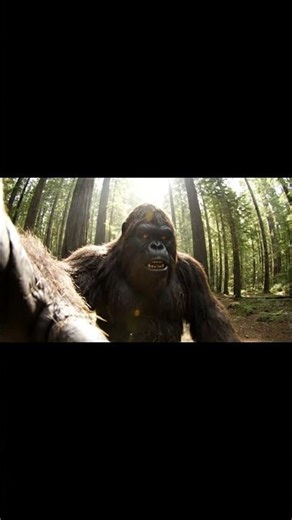 Camp ready 🏕️ #wildlife #grilltime #outdoorcooking #smokegrill #animals