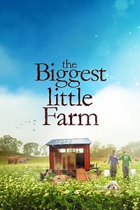 Stream The Biggest Little Farm (2019): Find it on Netflix, Prime Video, Hulu & more