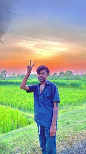 Captivating Sunset Scene in a Lush Green Field