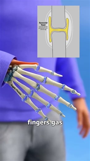 Why Knuckle Cracking Makes That Sound | Joint Cavitation Explained