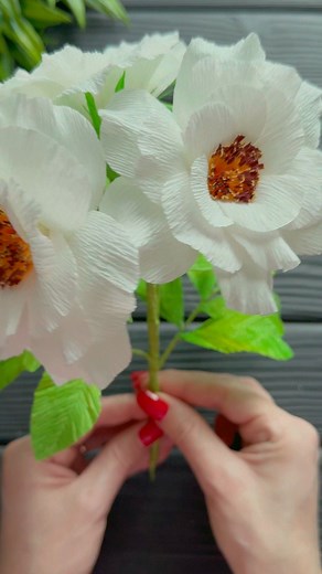 Origami Amazing on Reels