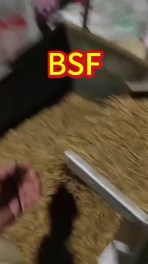 张雨 on Instagram: "This video shows our standardized processing and quality control for dried black soldier fly larvae (BSFL). We specialize in sustainable insect protein ingredients with stable large-scale capacity to ensure consistent long-term supply. Our full-process quality management guarantees product safety, nutrition and batch consistency. We hold internationally recognized certifications including HACCP, ISO, FDA, with complete export documentation and compliant cross-border delivery pr