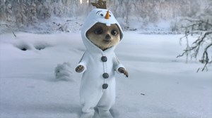 Watch baby meerkat Oleg walking in a Frozen wonderland in cute new TV ad
