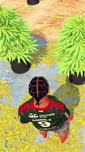 Minha nova cidade de Rp