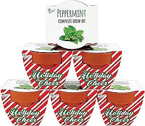 BUZZY Seeds Holiday Candy Cane Mini Terracotta Grow Pots, 6-Pack Peppermint Seeds, Indoor Plant Starter Kit, Stocking Stuffers, Party Favors