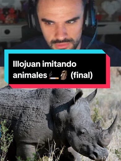 Illojuan Imitando Animales: Un Humor Inigualable