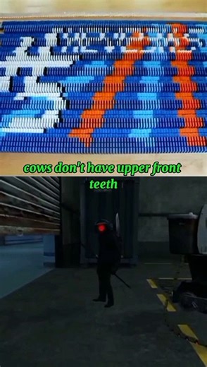 5 Hilarious Animal Facts You Didn't Know! "