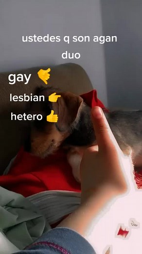 Videos de doki (@doki359_puppy) con “оригинальный звук - speed songs”