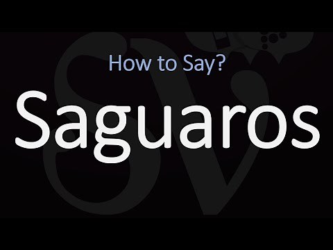 How to Pronounce Saguaros? (CORRECTLY)