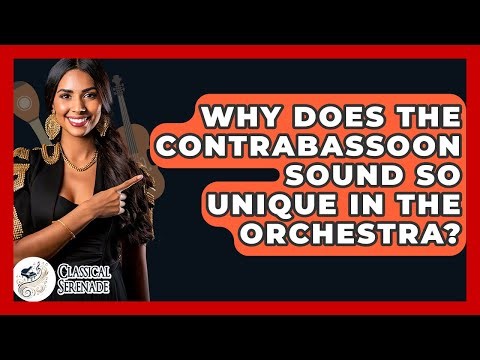 Why Does The Contrabassoon Sound So Unique In The Orchestra? - Classical Serenade