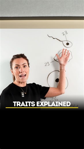 18K views · 623 reactions | Here's Why Traits Are Inherited #traits #inheritance #biology #biologyexplained #biologystudent #biologyteacher #myedspace #lauradoesbiology | Laura Does Biology | Facebook