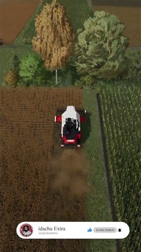 Small Contract: Easy Sorghum Harvest | IDACHU’s Farm | #SmallContract #BeginnerJob #SorghumHarvest