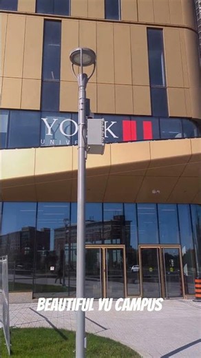 York university campus