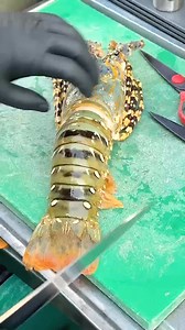 Super Giant Lobster BBQ Super Giant Lobster BBQ #food #seafood #thailand #lobster | Headlinr