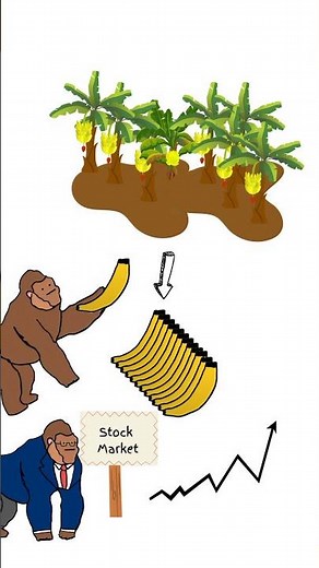 Monkey economics Stocks explained #finance #monkeyeconomics #economics #stocks