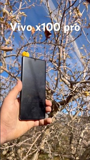 Vivo X100 pro camera test #phone #camera