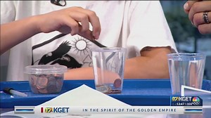 Elaina's Experiments: Water's surface tension and cohesion